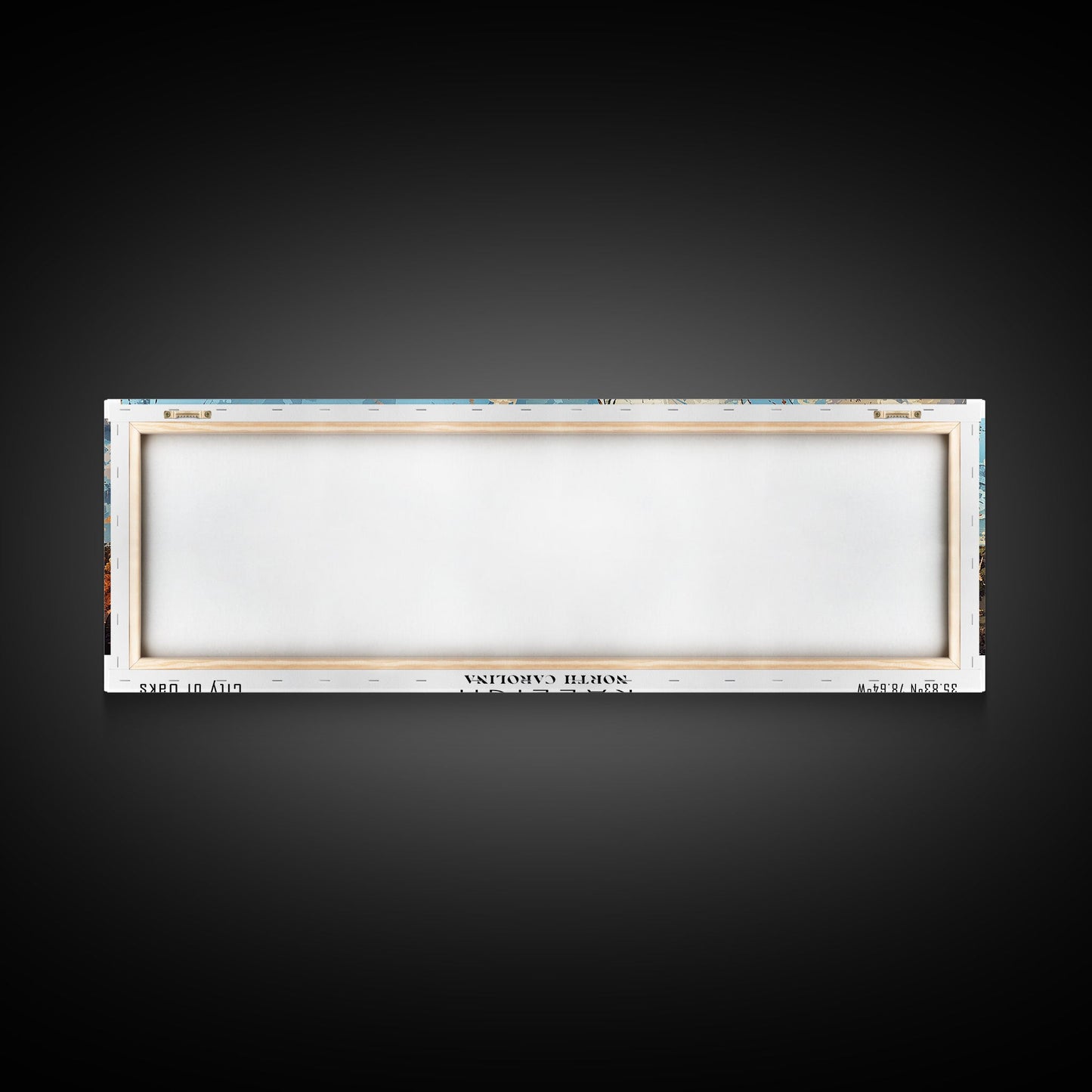 Raleigh North Carolina Panoramic Print, Artistic Framed Canvas Print, City Travel Poster, Home Decoration, Wall Art, Gift Idea