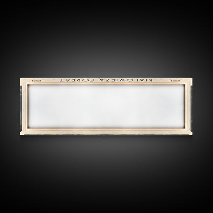 Bialowieza Forest Travel Poster Print, Framed Canvas Wall Art, Metal Wall Art, COUNTRY art, Gift For Him, Travel Wall Art, Travel Lover Gift