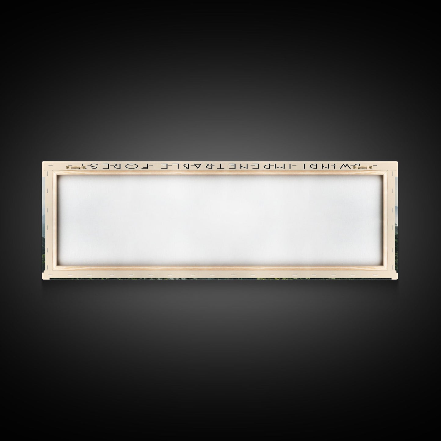 Bwindi Impenetrable Forest Wall Art Travel Poster Print, Gift For Travel Lover, Vacation Gift, COUNTRY Wall Art, Home Decor, Original Art