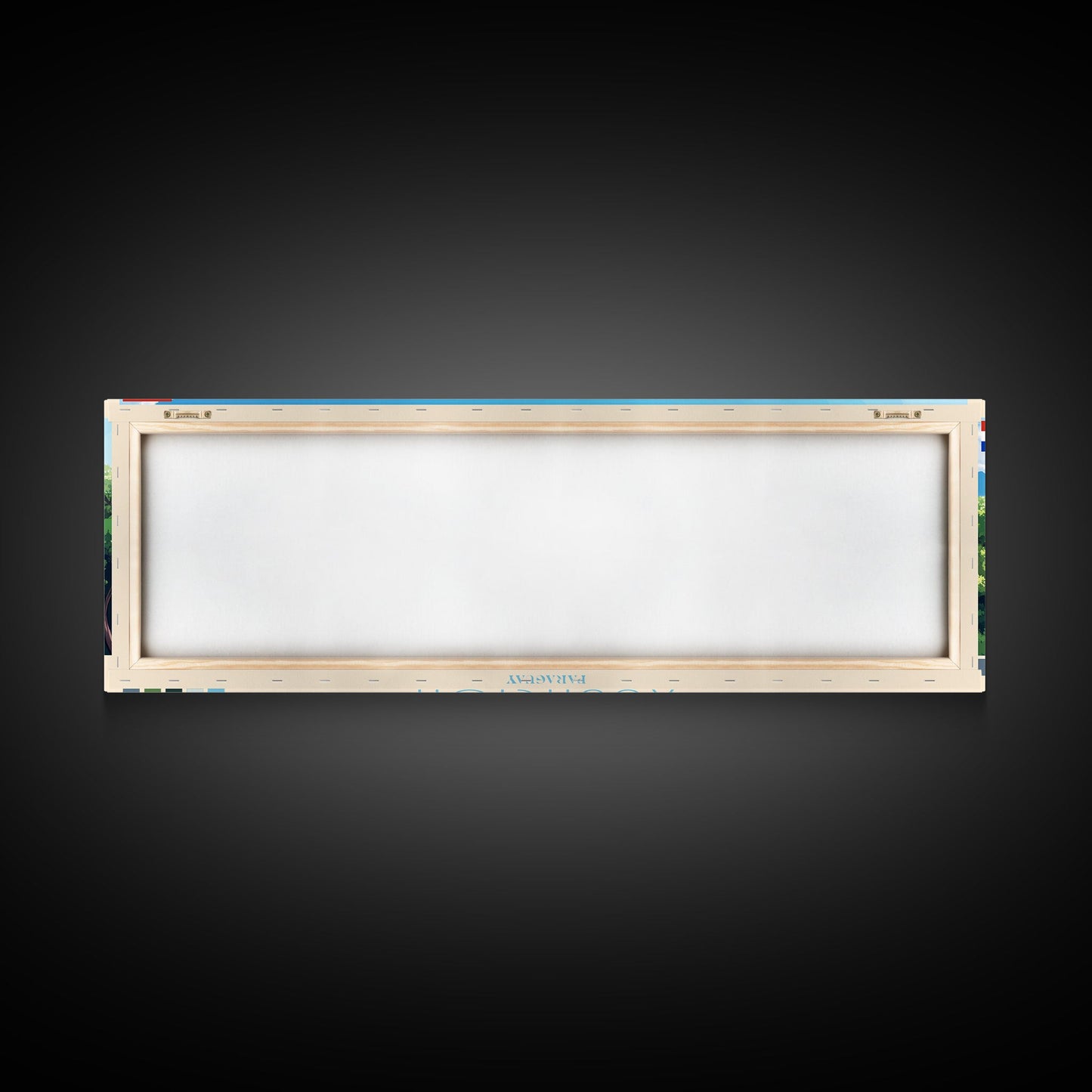 Asuncion, Paraguay Panoramic Travel Poster Canvas Print, Asuncion, Paraguay Painting, Paraguay Art, Asuncion Travel Art, Living Room Painting