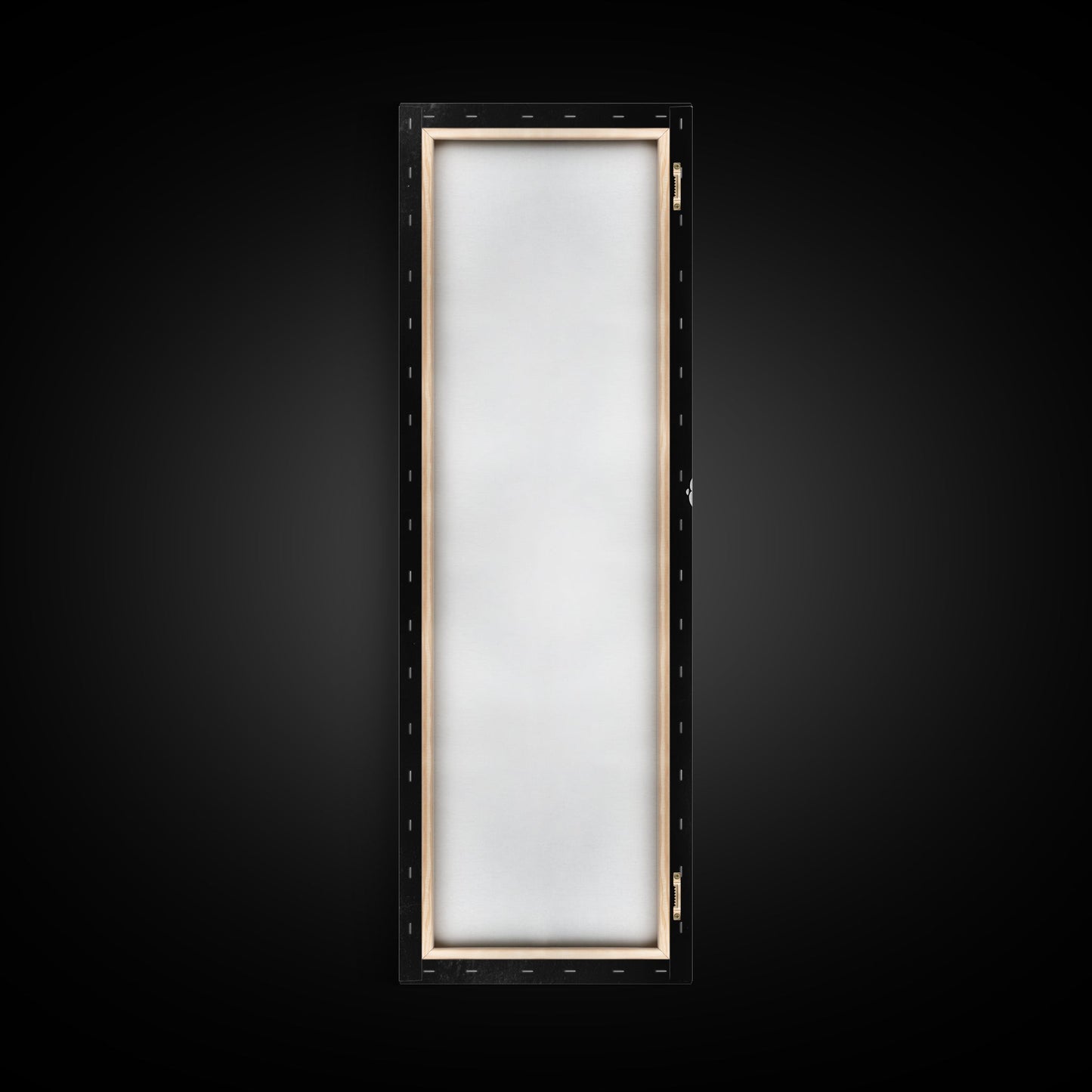 Dragonfly Wings Macro, Nature Insect Print, Detailed Bug Art, Minimalist Scientific Wall Decor, Framed Canvas Print, Study Room Art