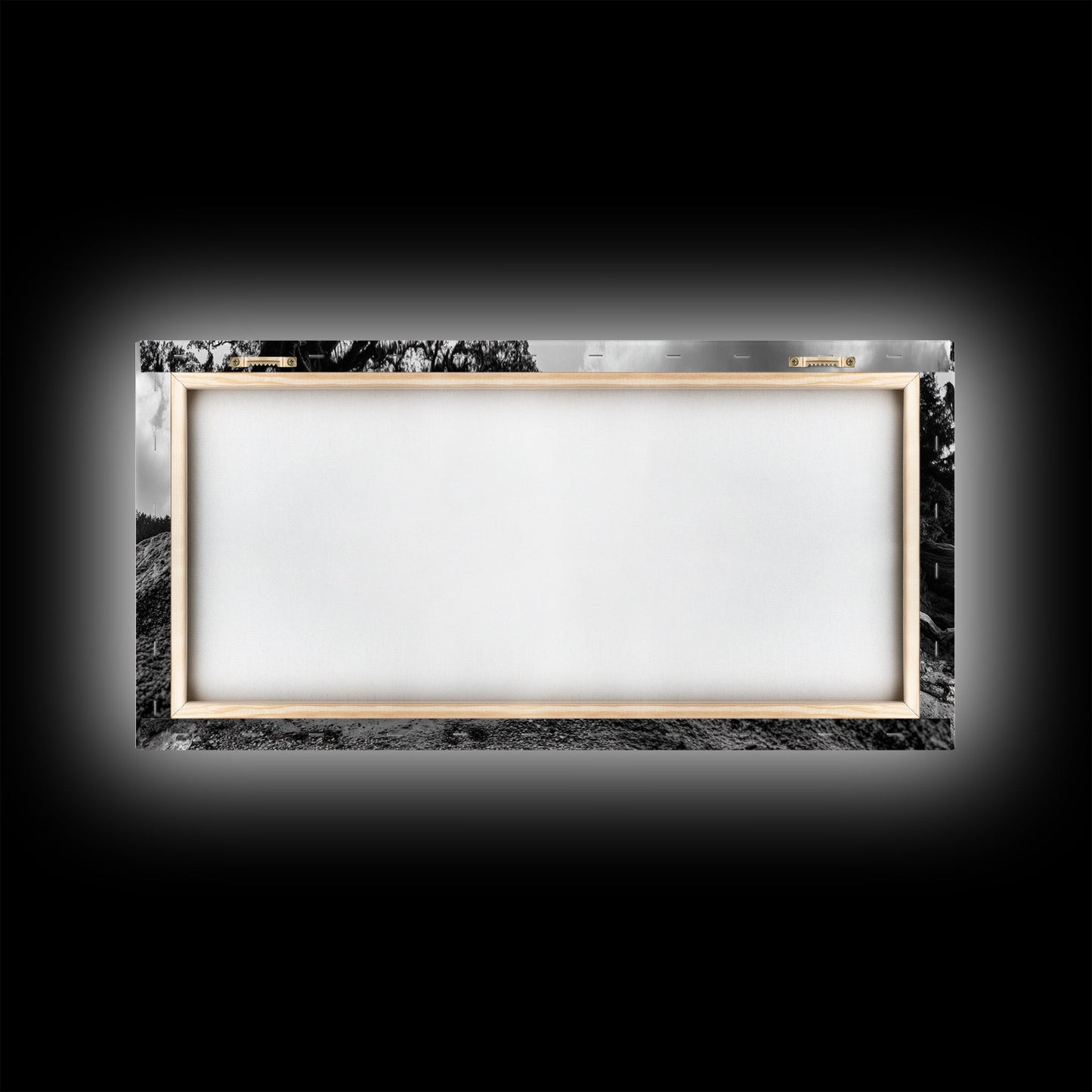 Coastal Tree Roots, Ancient Forest Shore, Pacific Northwest Nature, Moody Black and White Canvas Print, Cabin Wall Art, Woodland Style