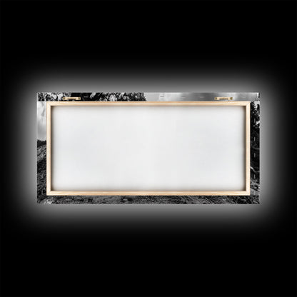 Coastal Tree Roots, Ancient Forest Shore, Pacific Northwest Nature, Moody Black and White Canvas Print, Cabin Wall Art, Woodland Style