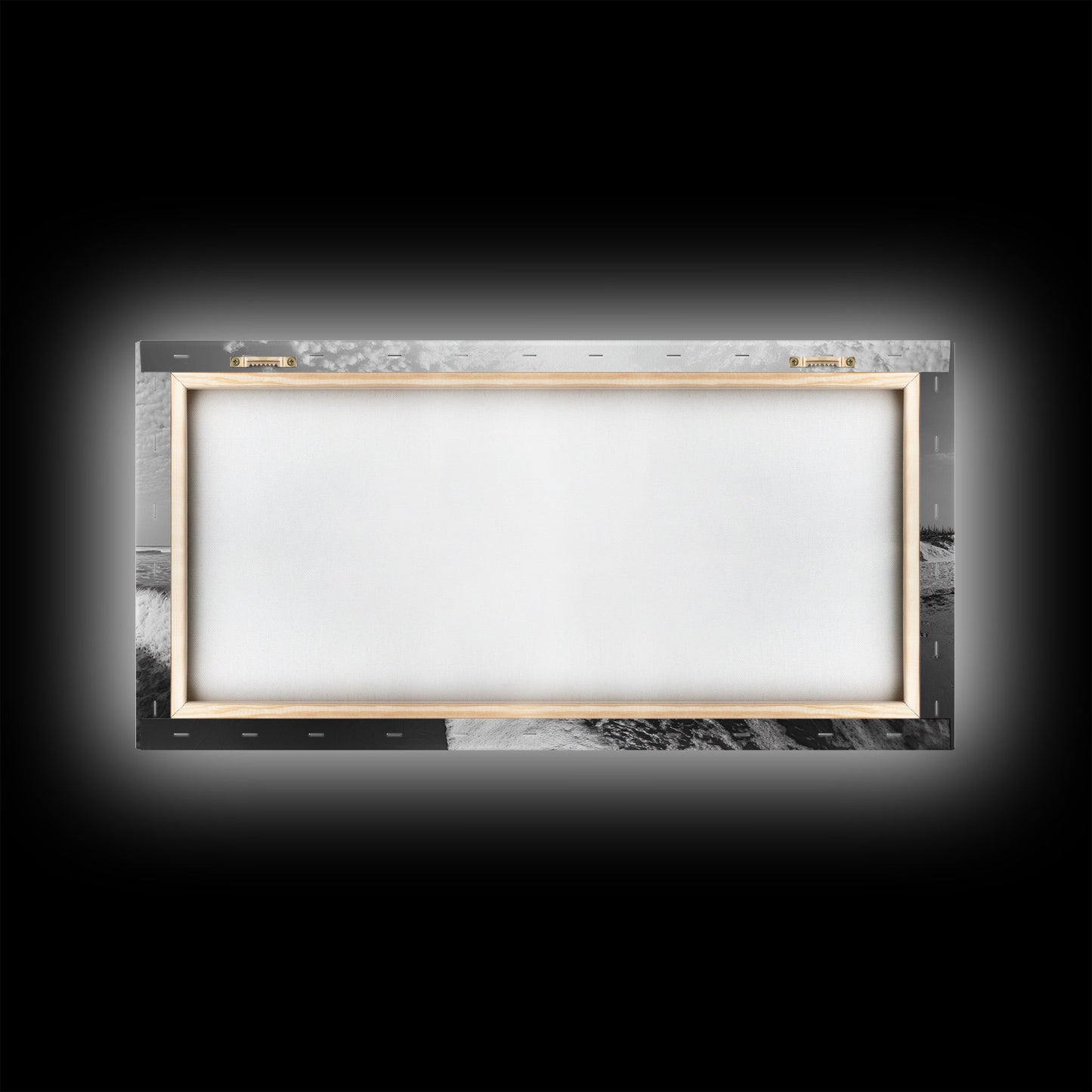 Wild Horse Beach, Coastal Nature Art, Minimalist Animal Photography, Serene Landscape, Neutral Bedroom Decor, Framed Canvas Print