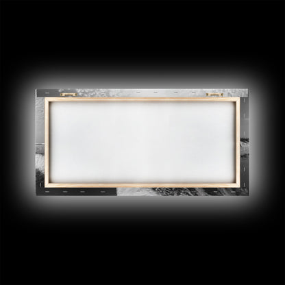 Wild Horse Beach, Coastal Nature Art, Minimalist Animal Photography, Serene Landscape, Neutral Bedroom Decor, Framed Canvas Print