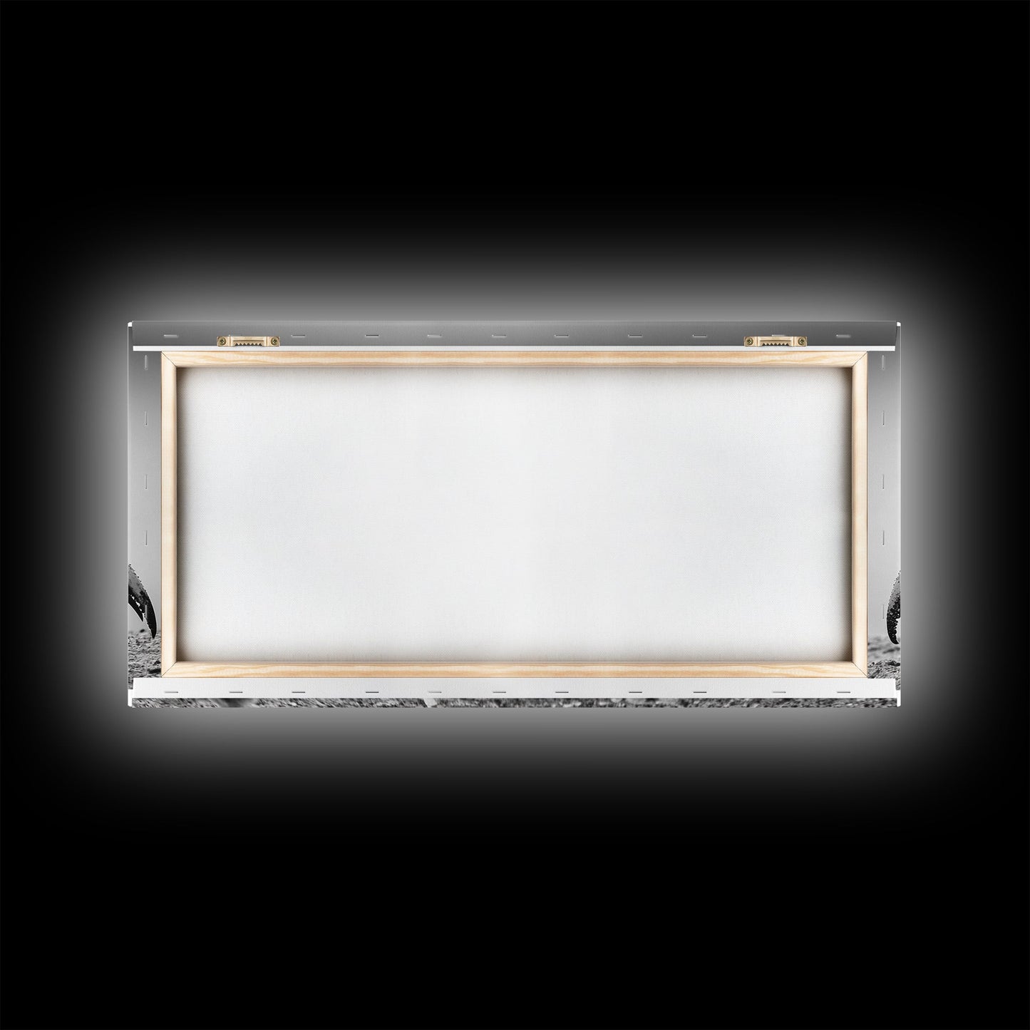 Crab Art, Beach Creature, Monochrome Photography, Nature Close-Up, Framed Canvas Print, Coastal Bathroom Art, Marine Home Style