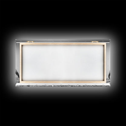 Crab Art, Beach Creature, Monochrome Photography, Nature Close-Up, Framed Canvas Print, Coastal Bathroom Art, Marine Home Style