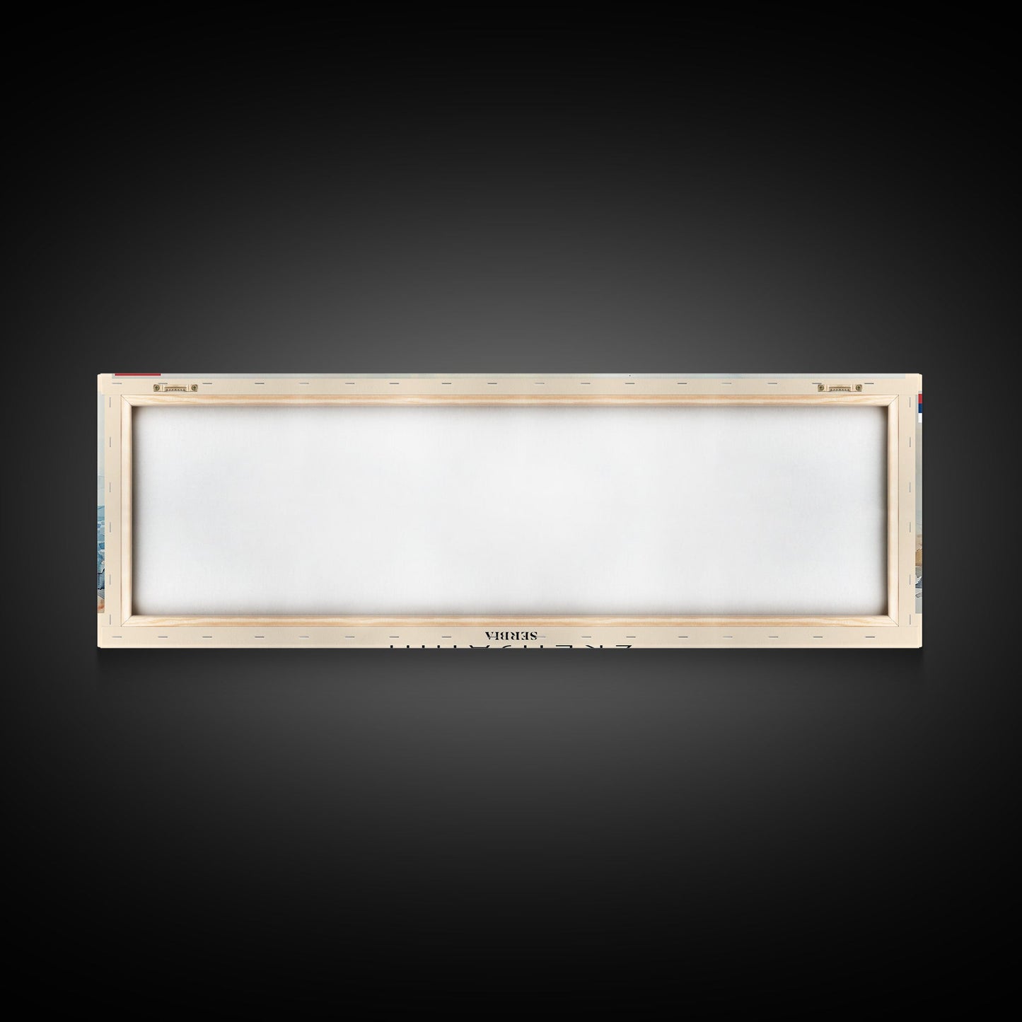 Zrenjanin Serbia Wall Art, Panoramic Travel Poster, Panoramic Framed Canvas Print, City Wall Art, Wall Hanging Home Decor, Travel Art