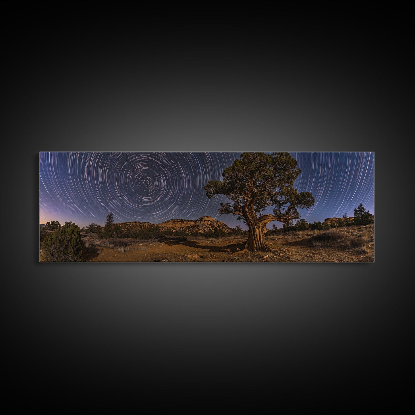 Time Lapse Photography Style Print, Panoramic Wall Art, Starry Night Sky Photo Print, Joshua Tree