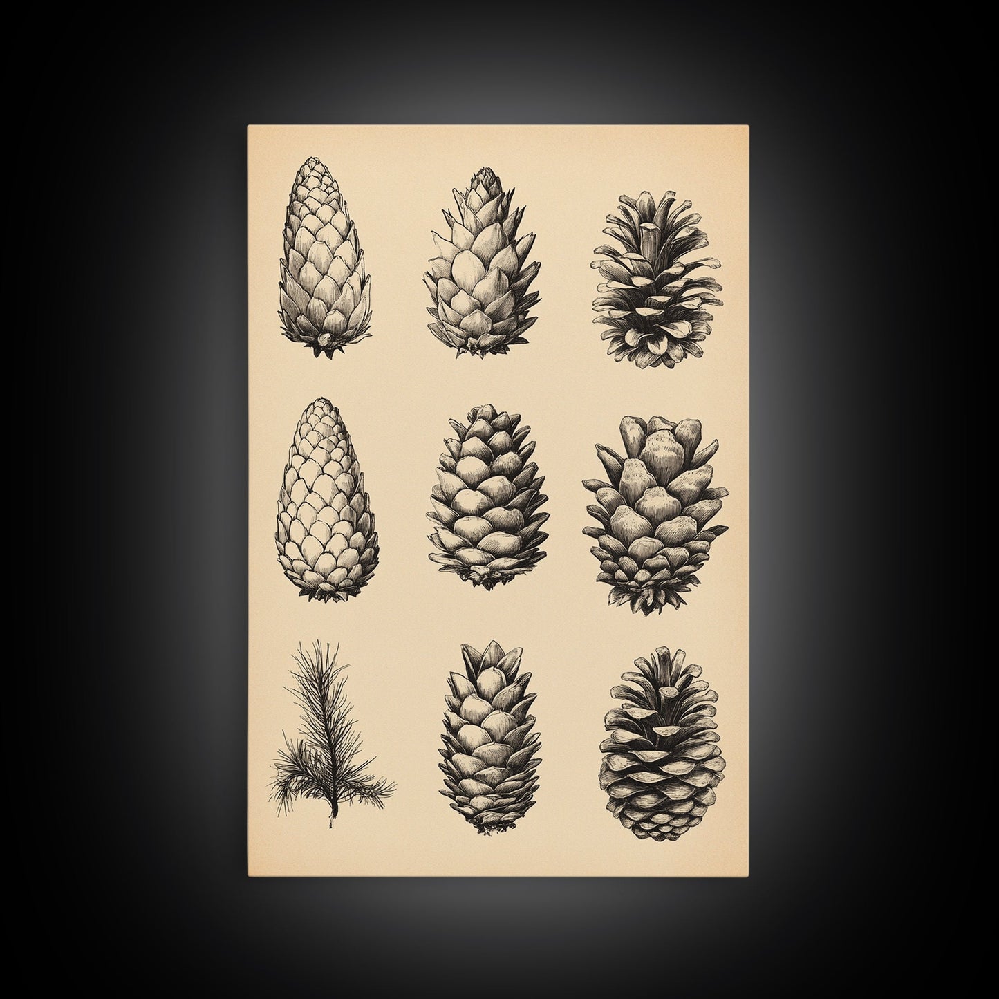 Vintage Pinecones Canvas Print - Framed Canvas - Minimalist Christmas Art - Boho Christmas Art - Rustic Christmas Art
