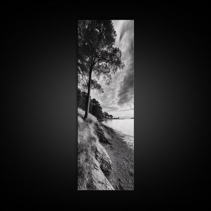 Coastal Tree, Ocean Horizon, Windswept Shore, Nature Calm, Moody Sky, Framed Canvas Print, Office Wall Art, Coastal Rustic Aesthetic