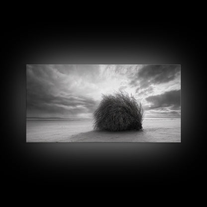 Tumbleweed, Desert Beach, Moody Sky, Solitary Calm, Framed Canvas Print, minimalist desert wall art, western Fall decor, neutral tones