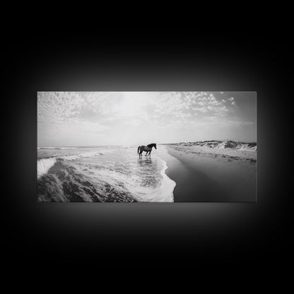 Wild Horse Beach, Coastal Nature Art, Minimalist Animal Photography, Serene Landscape, Neutral Bedroom Decor, Framed Canvas Print