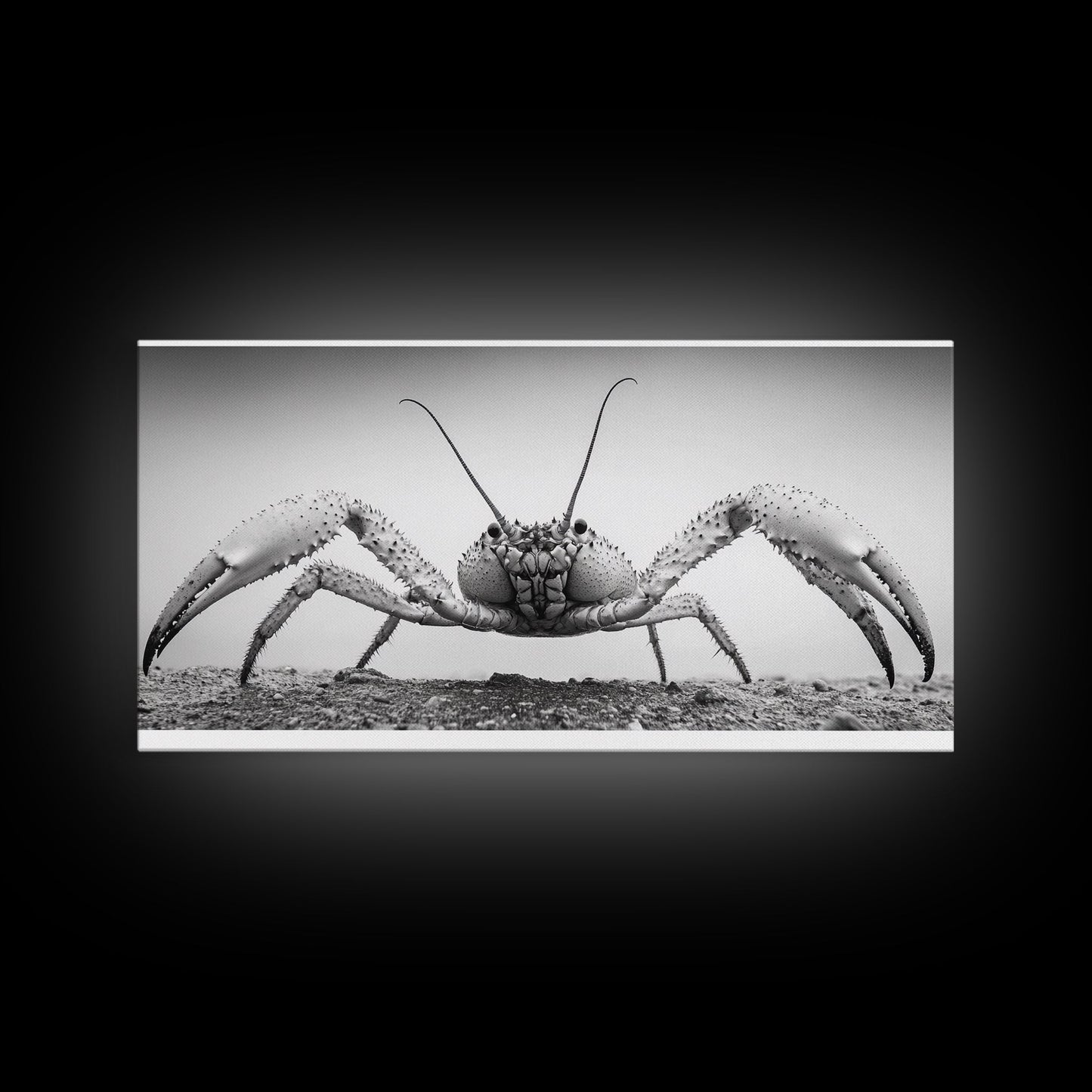 Crab Art, Beach Creature, Monochrome Photography, Nature Close-Up, Framed Canvas Print, Coastal Bathroom Art, Marine Home Style