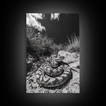 Coiled Snake, Desert Predator, Wild Reptile, Framed Canvas Print, Nature Wildlife Art, Den or Office Decor, Monochrome Animal Photography