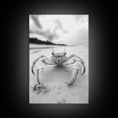 Beach Crab Portrait, Closeup Ocean Art, Tropical Minimalism, Coastal Creature Photo, Framed Canvas Print, Bathroom Wall Decor, Marine Decor