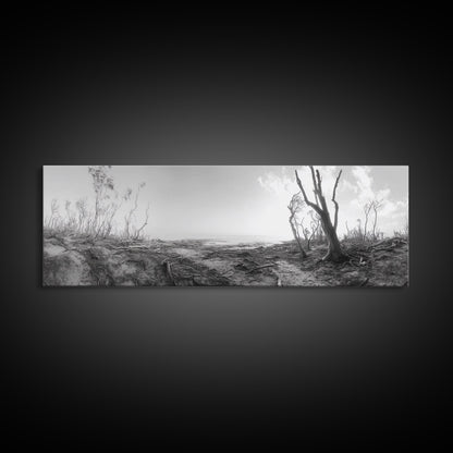 Windswept Coastal Trees, Driftwood Beach Landscape, Black White Canvas Print, Autumn Wall Art, Nature-Inspired Living Room Decor