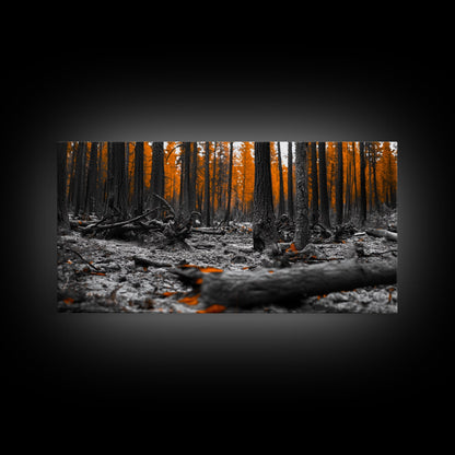 Autumn Forest Floor, Orange Leaves, Fall Nature Scene, Canvas Print, Rustic Wall Art, Cabin Decor, Moody Landscape Framed Canvas Print