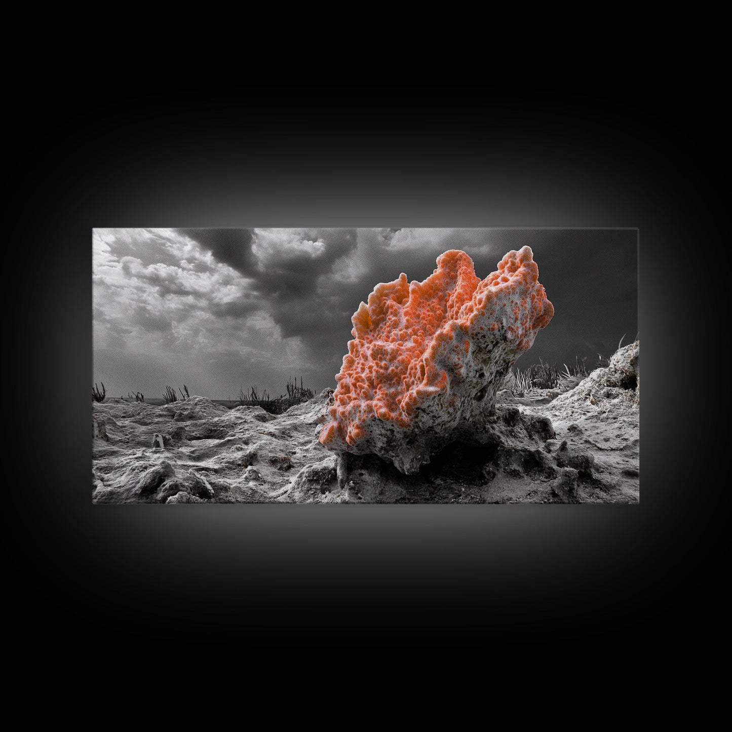 Coral Texture Art, Desert Coral Print, Earthy Organic Decor, Vibrant Nature Scene, Framed Canvas Print, Living Room Wall Art, Natural Art