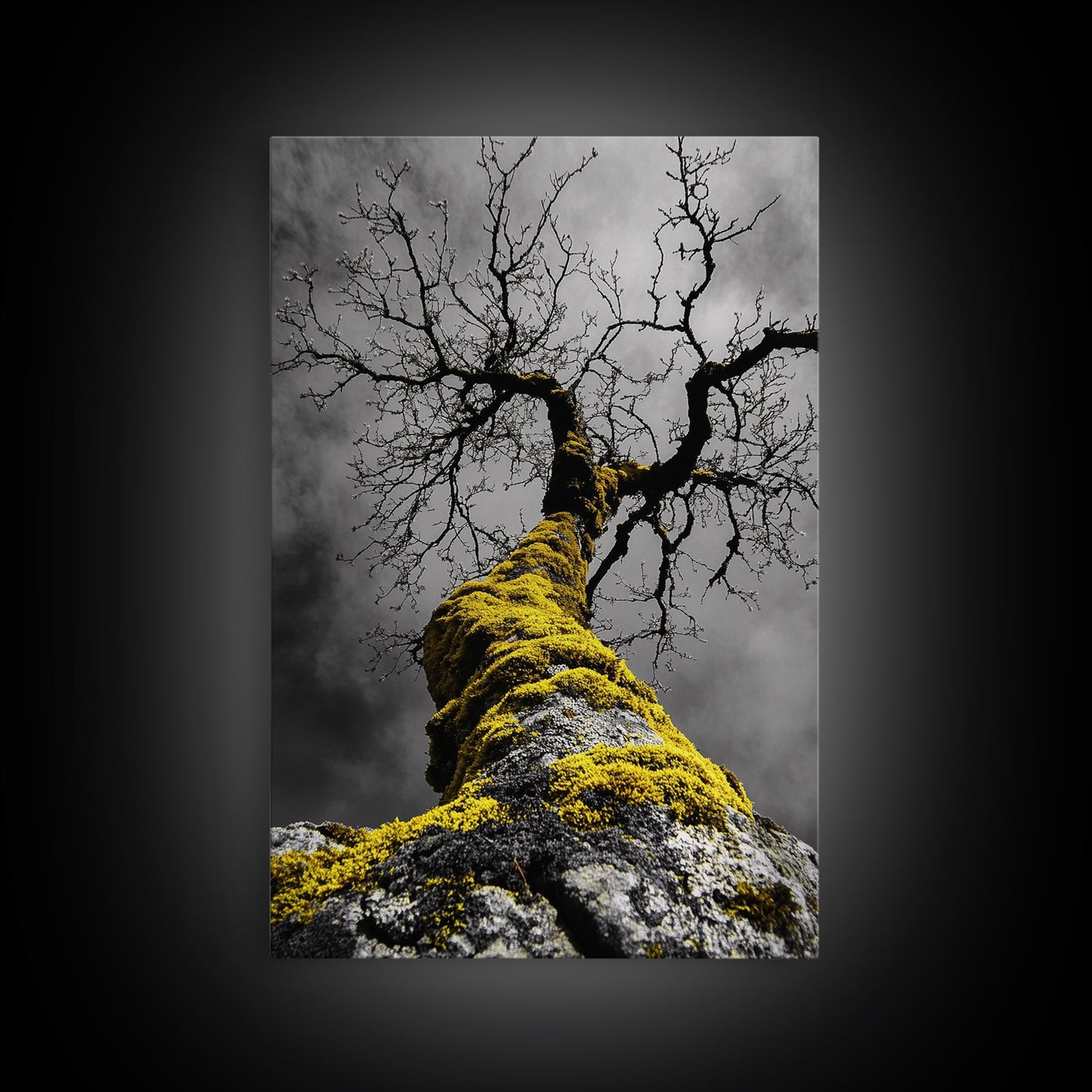 Moss Covered Tree, Dramatic Nature Scene, Autumn Forest Decor, Moody Woodland Art, Framed Canvas Print, Rustic Living Room Wall Art