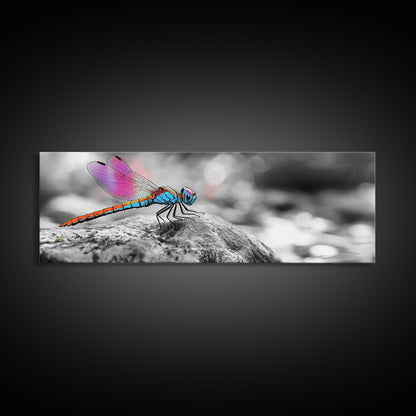 Neon Dragonfly, Nature Insect, Color Burst, Macro Beauty — Framed Canvas Print, Modern Boho Art, Bedroom Wall Art, Nature Photography
