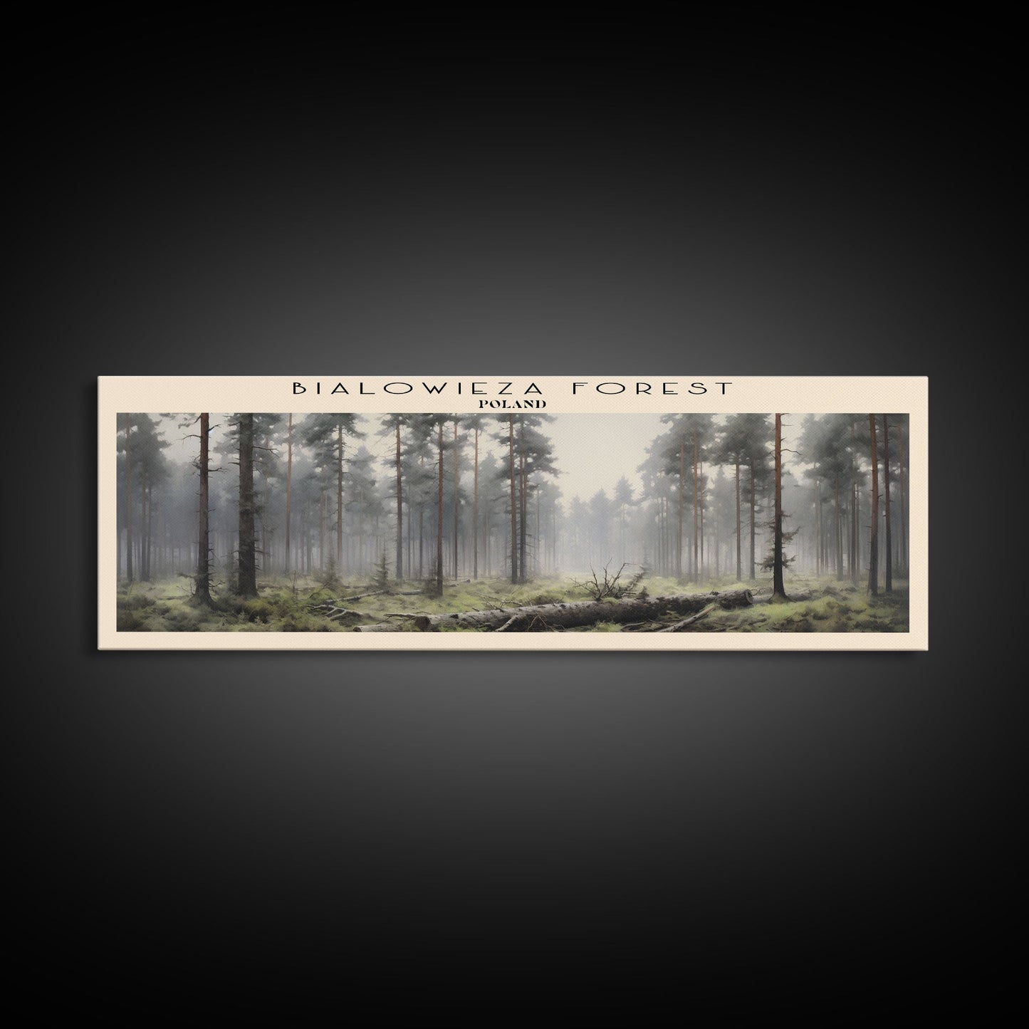 Bialowieza Forest Travel Poster Print, Framed Canvas Wall Art, Metal Wall Art, COUNTRY art, Gift For Him, Travel Wall Art, Travel Lover Gift