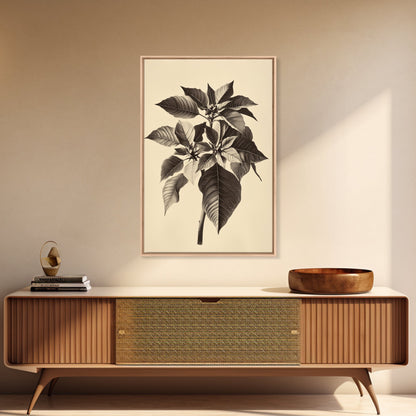 Vintage Poinsetta Canvas Print - Framed Canvas - Minimalist Christmas Art - Boho Christmas Art - Rustic Christmas Art