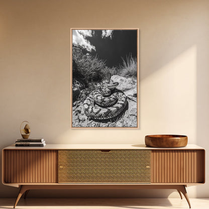 Coiled Snake, Desert Predator, Wild Reptile, Framed Canvas Print, Nature Wildlife Art, Den or Office Decor, Monochrome Animal Photography