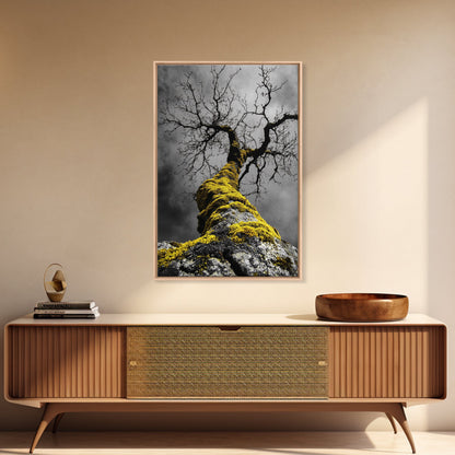 Moss Covered Tree, Dramatic Nature Scene, Autumn Forest Decor, Moody Woodland Art, Framed Canvas Print, Rustic Living Room Wall Art