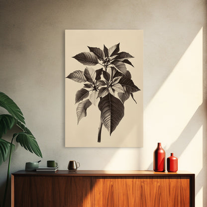 Vintage Poinsetta Canvas Print - Framed Canvas - Minimalist Christmas Art - Boho Christmas Art - Rustic Christmas Art