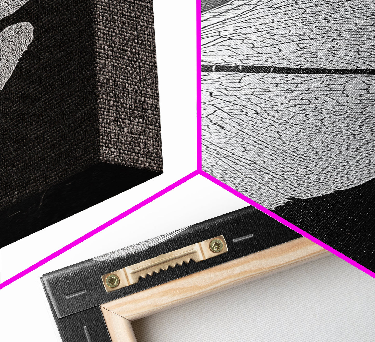 Dragonfly Wings Macro, Nature Insect Print, Detailed Bug Art, Minimalist Scientific Wall Decor, Framed Canvas Print, Study Room Art