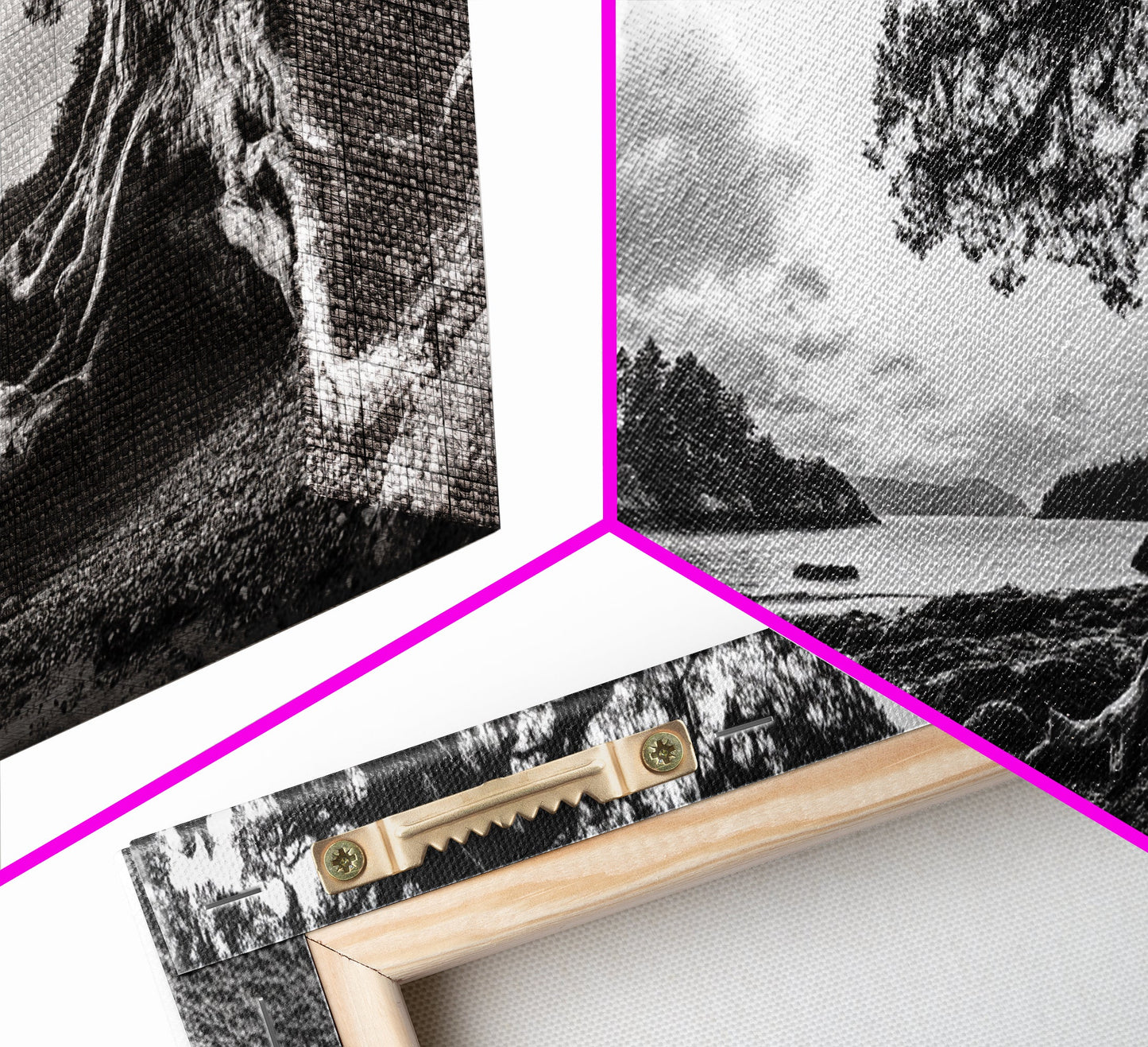 Coastal Tree Roots, Ancient Forest Shore, Pacific Northwest Nature, Moody Black and White Canvas Print, Cabin Wall Art, Woodland Style