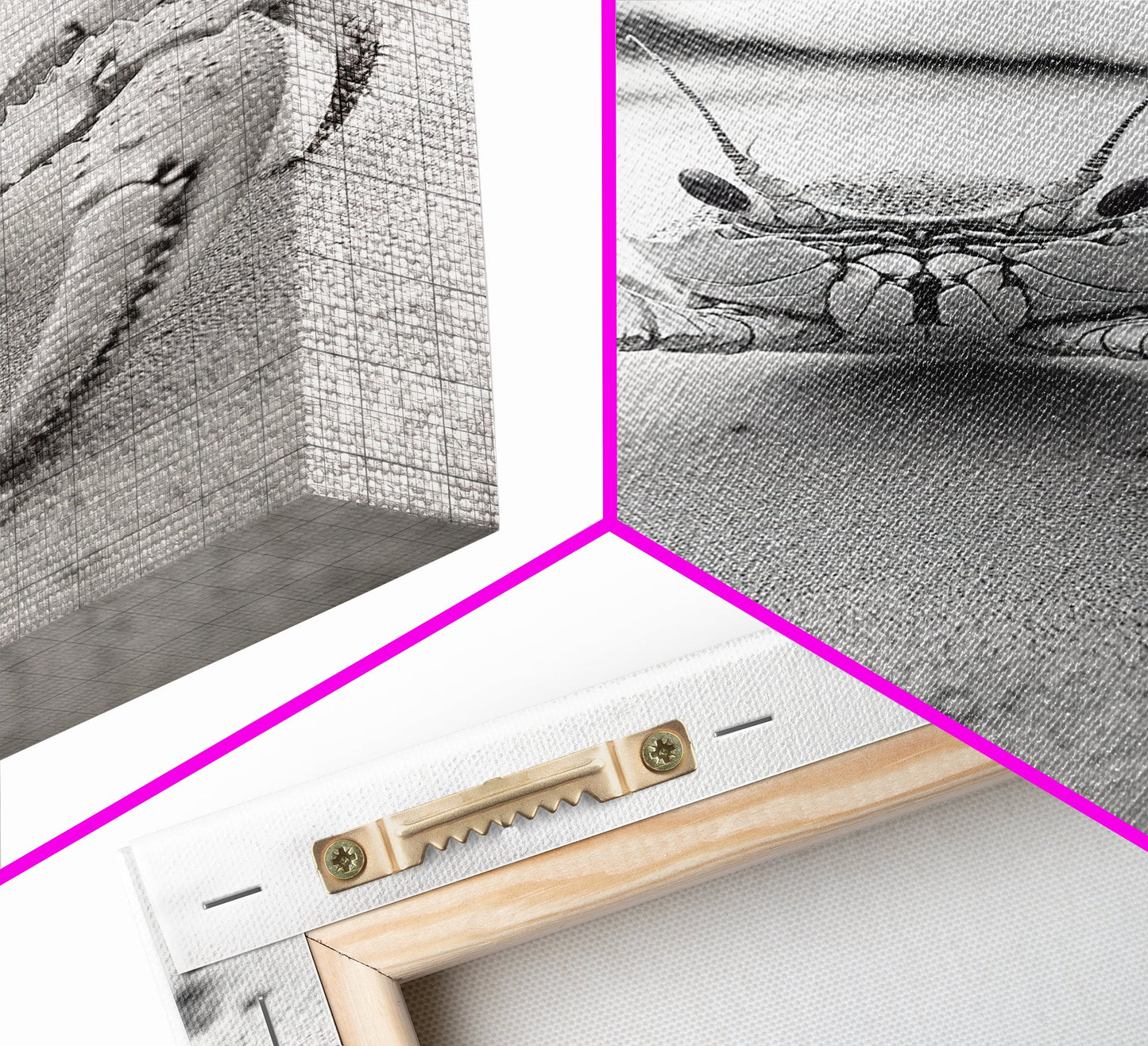 Beach Crab Portrait, Closeup Ocean Art, Tropical Minimalism, Coastal Creature Photo, Framed Canvas Print, Bathroom Wall Decor, Marine Decor