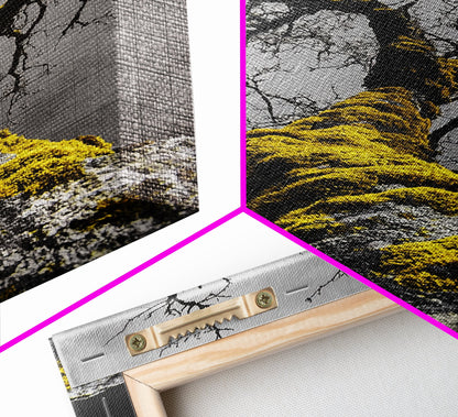Moss Covered Tree, Dramatic Nature Scene, Autumn Forest Decor, Moody Woodland Art, Framed Canvas Print, Rustic Living Room Wall Art