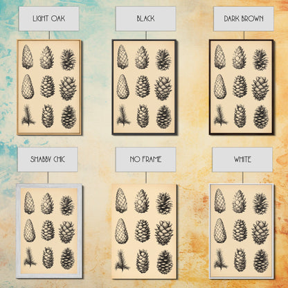 Vintage Pinecones Canvas Print - Framed Canvas - Minimalist Christmas Art - Boho Christmas Art - Rustic Christmas Art