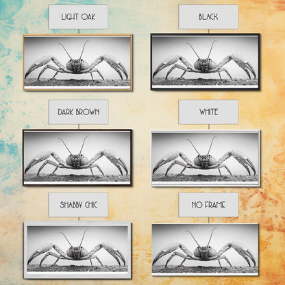 Crab Art, Beach Creature, Monochrome Photography, Nature Close-Up, Framed Canvas Print, Coastal Bathroom Art, Marine Home Style