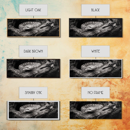 Coiled Rattlesnake, Wild Nature, Black and White, Canvas Print, Rustic Decor, Man Cave Wall Art, Cabin Style, Animal Photography, Moody Art