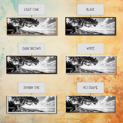 Coastal Tree, Wind Bent, Seaside Beauty, Nautical Serenity, Canvas Print, Nature Wall Art, Minimalist Decor, Coastal Living Room Art