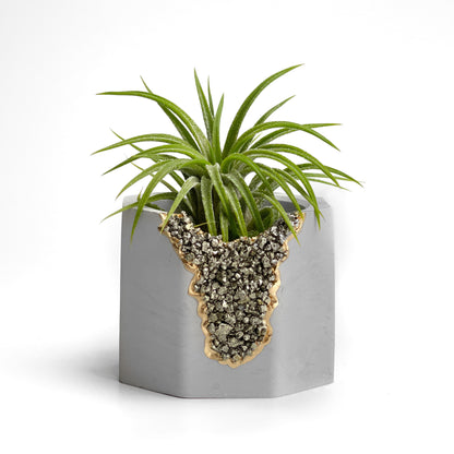 PYRITE GEODE PLANTER