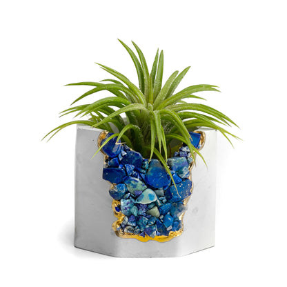 LAPIS LAZULI GEODE PLANTER