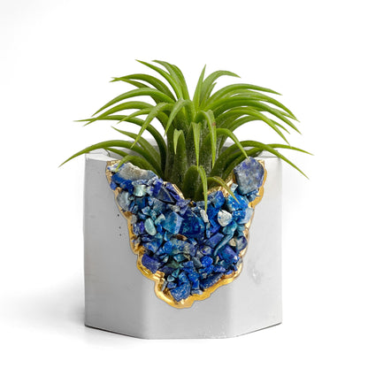 LAPIS LAZULI GEODE PLANTER