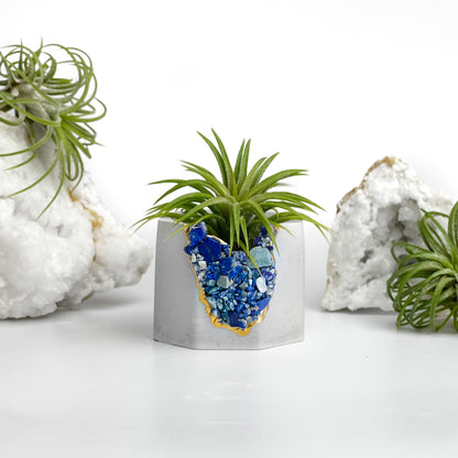 LAPIS LAZULI GEODE PLANTER