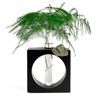 PYRITE PROPAGATION STATION