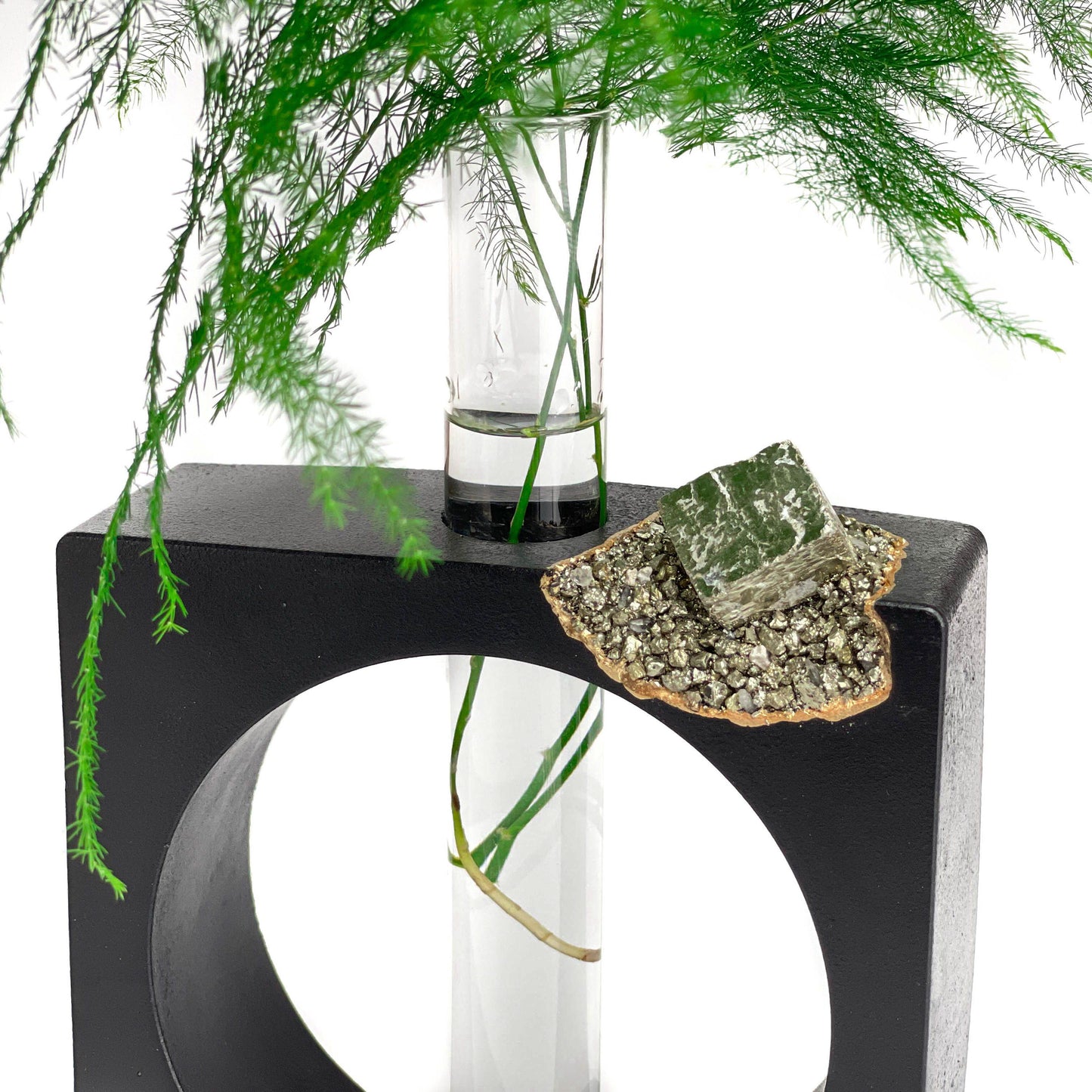 PYRITE PROPAGATION STATION