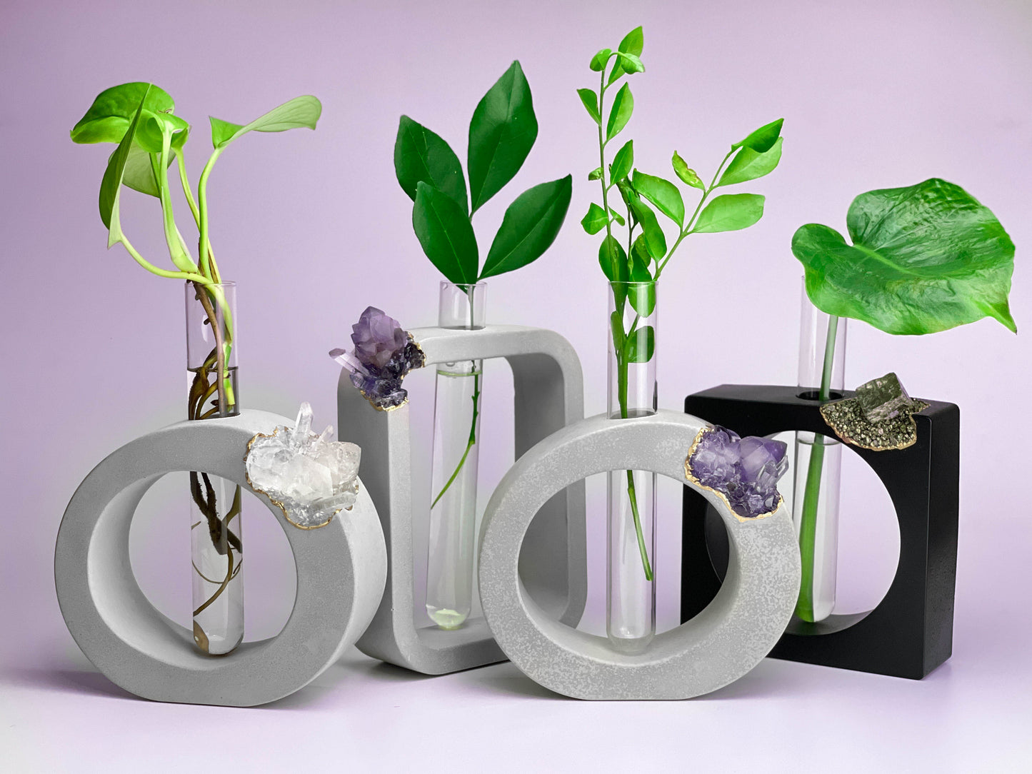 PYRITE PROPAGATION STATION