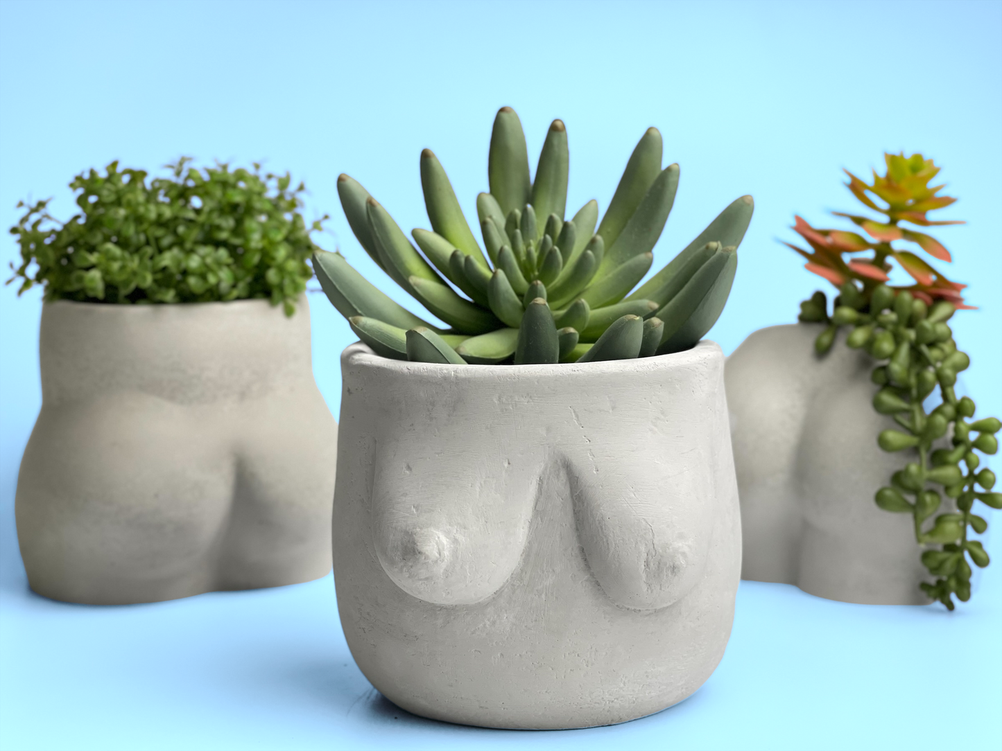 Boobs Planter | Woman Body Pot