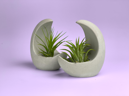 YOUNG MOON AIR PLANT HOLDER
