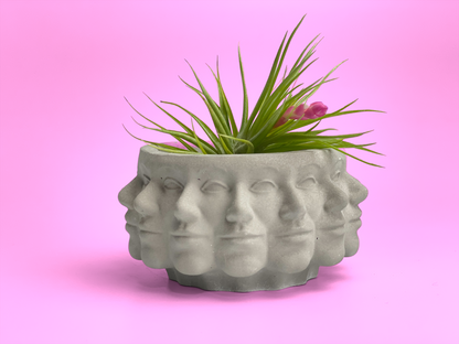 Multi Face Succulent Planter
