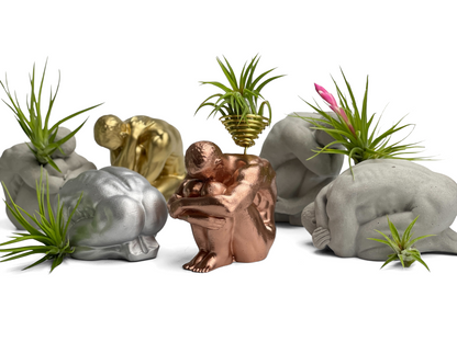 MALE BODY AIR PLANT HOLDER