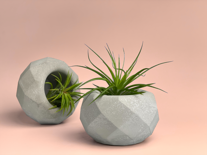 Geometric Air Plant Holder